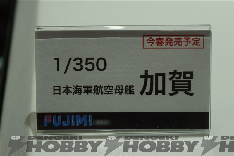 DSC03131.jpg