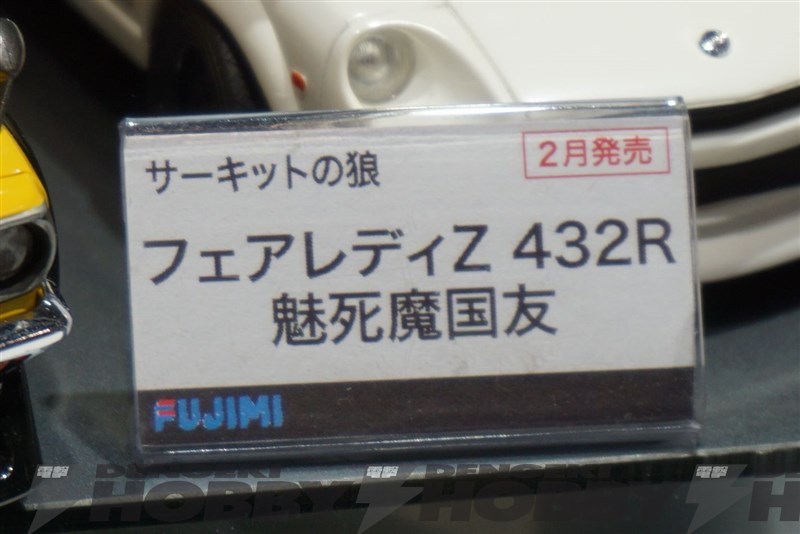 DSC03098.jpg