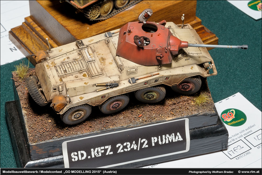 gomo2015_36.jpg