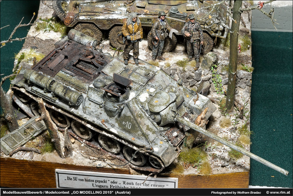 gomo2015_41.jpg
