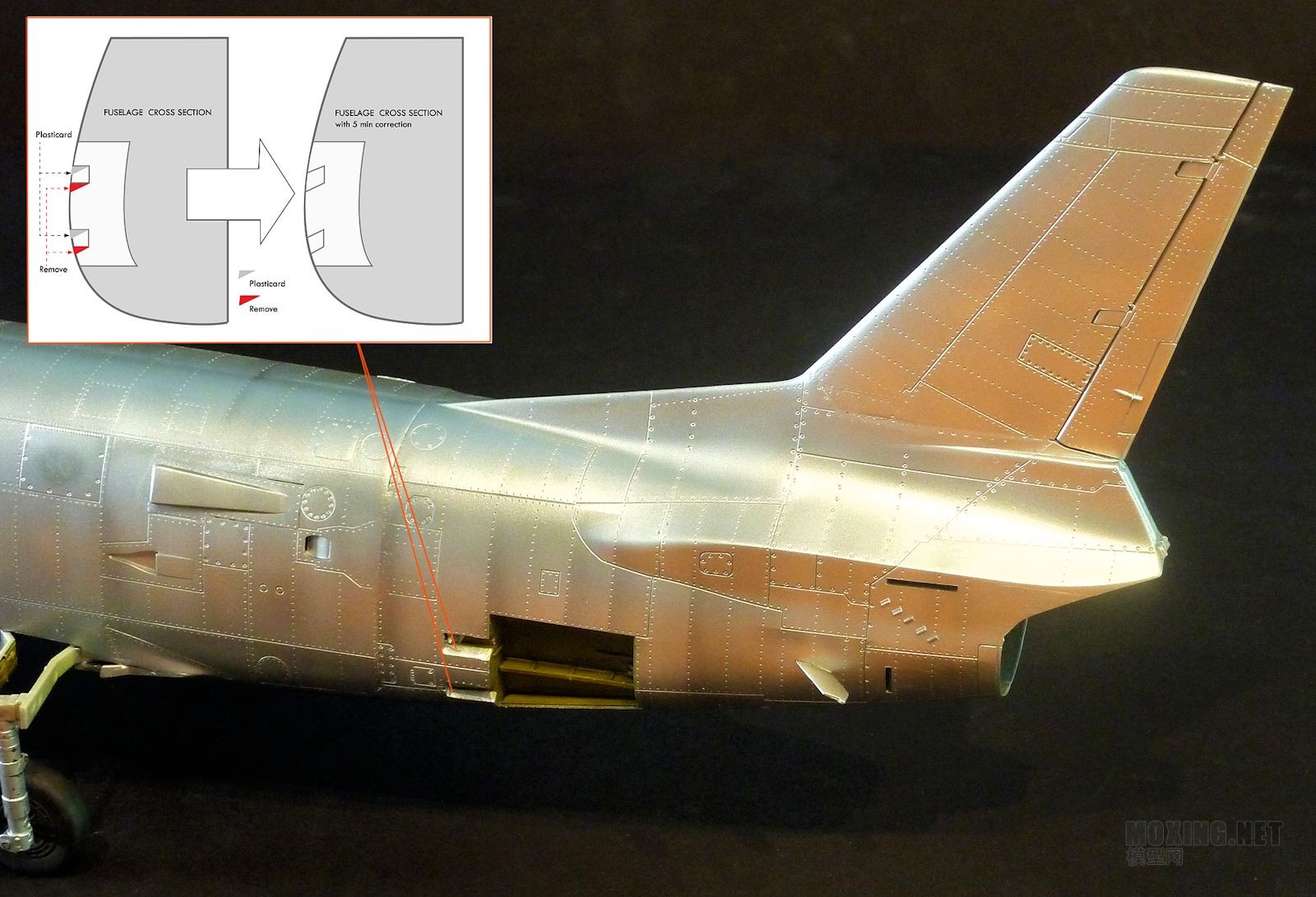 -+Sabre+Dog-038.jpg