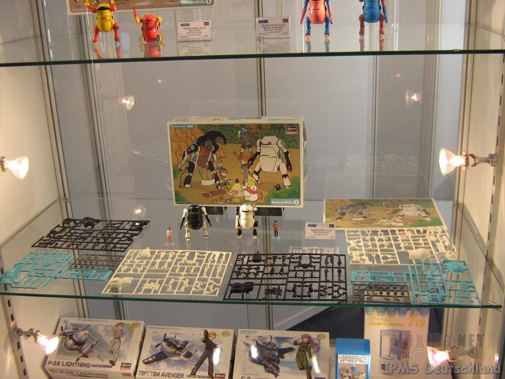 Hasegawa_13.jpg