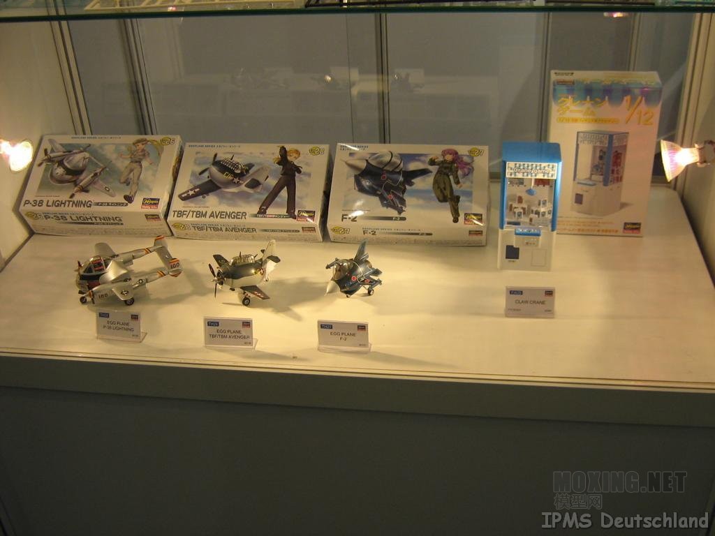 Hasegawa_12.jpg