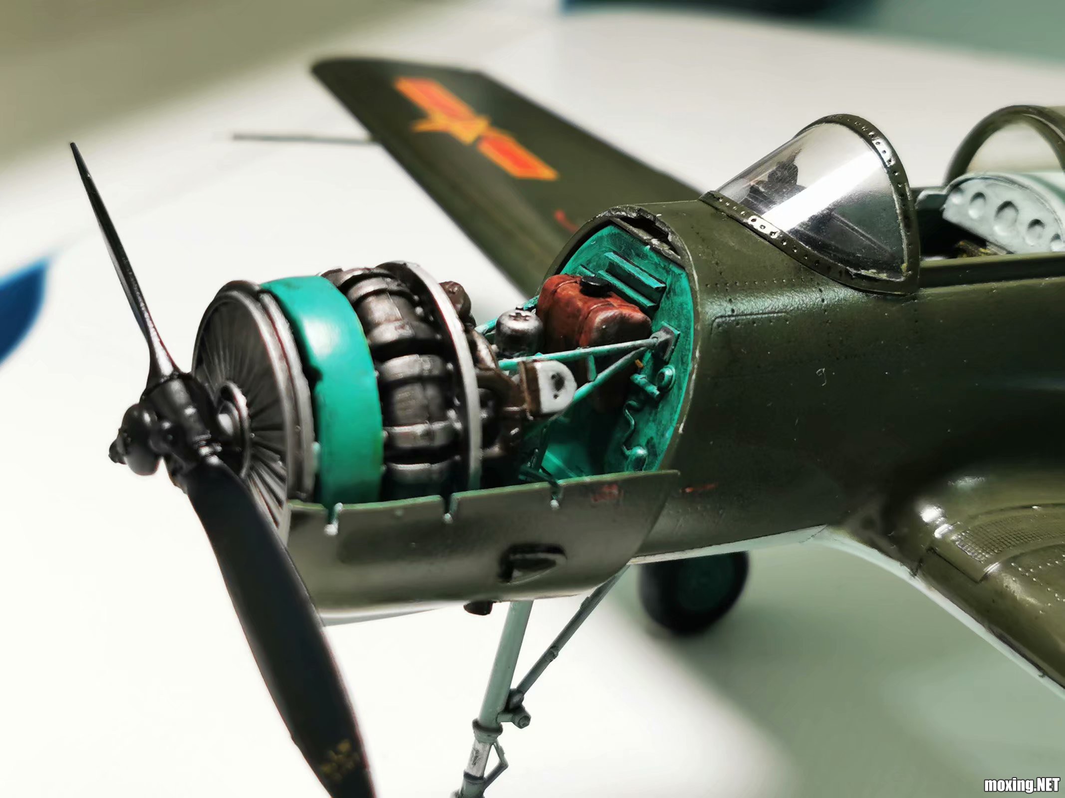 psc (18).jpg