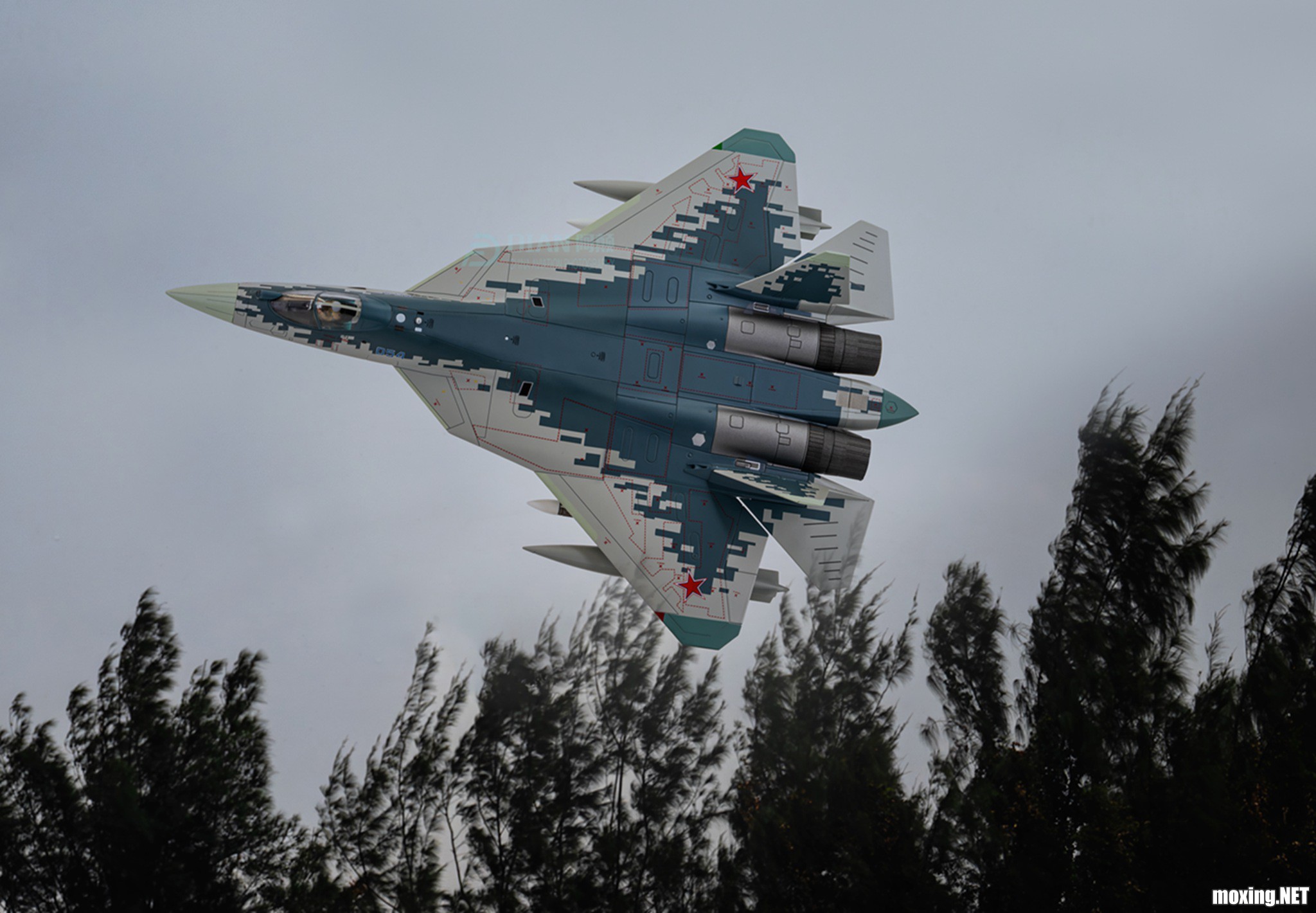 DSC_17338.jpg